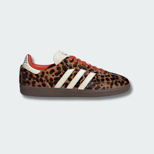 Classic Samba LTD